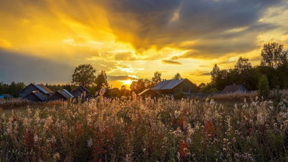 Поле вечером