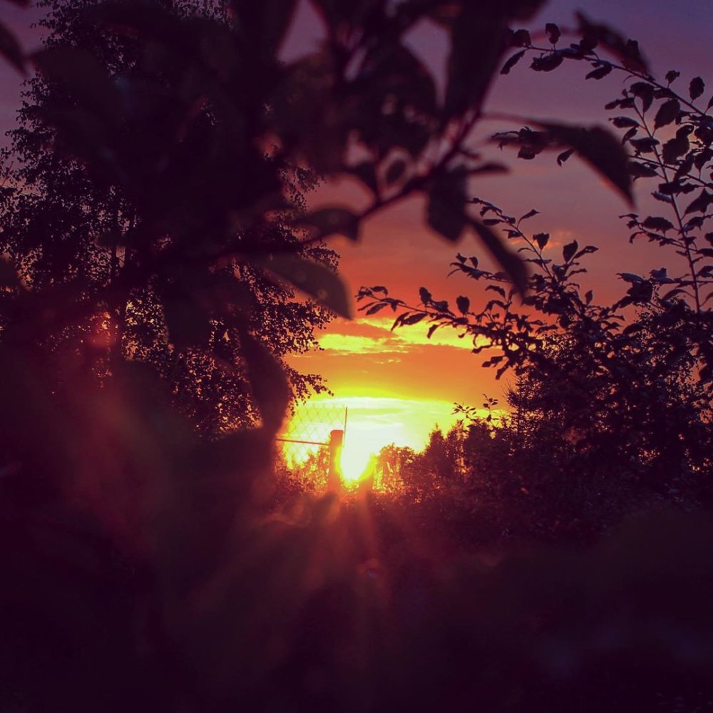 Домик в деревне закат