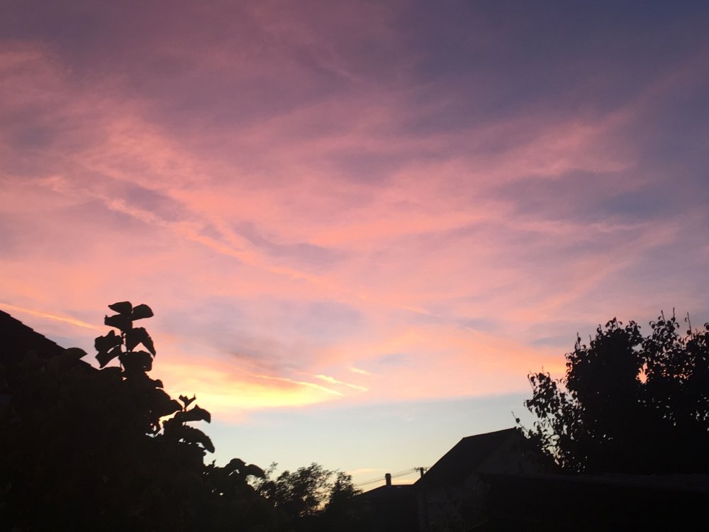 Фотосессия на рассвете в поле