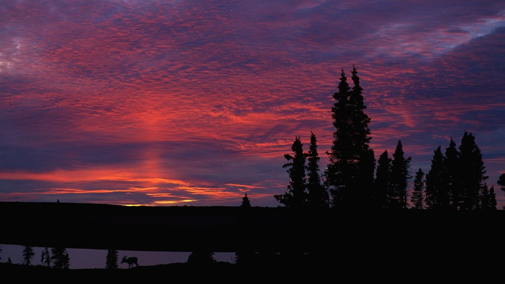 Утренний пейзаж деревня Герасимов