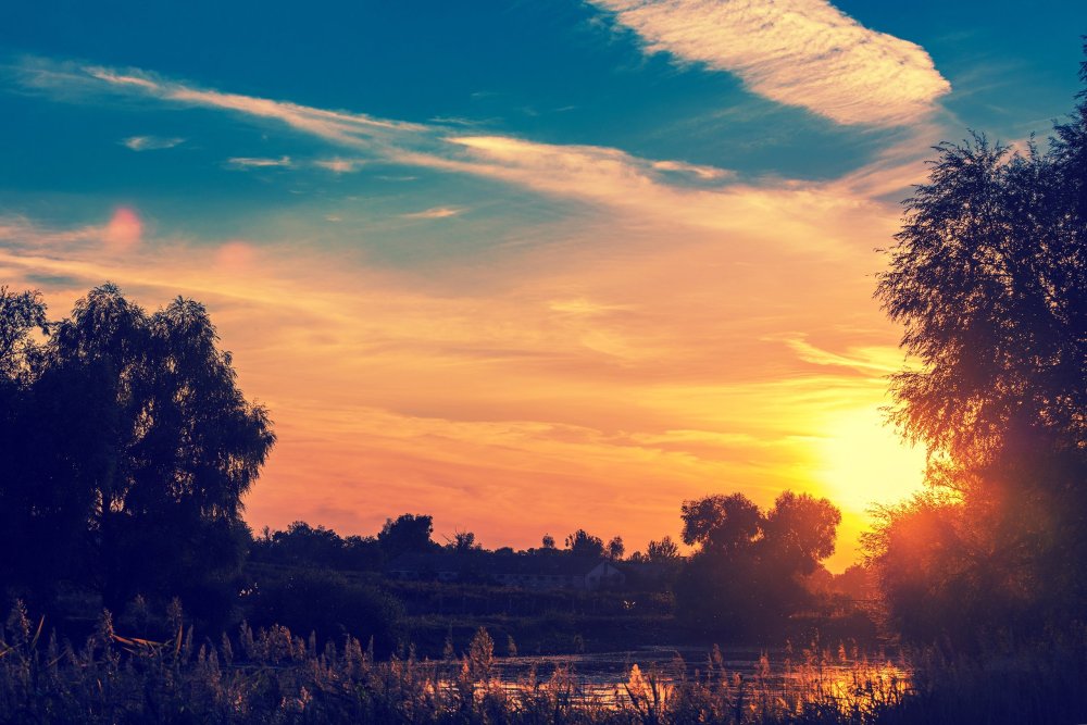 Лето вечер деревня Моша