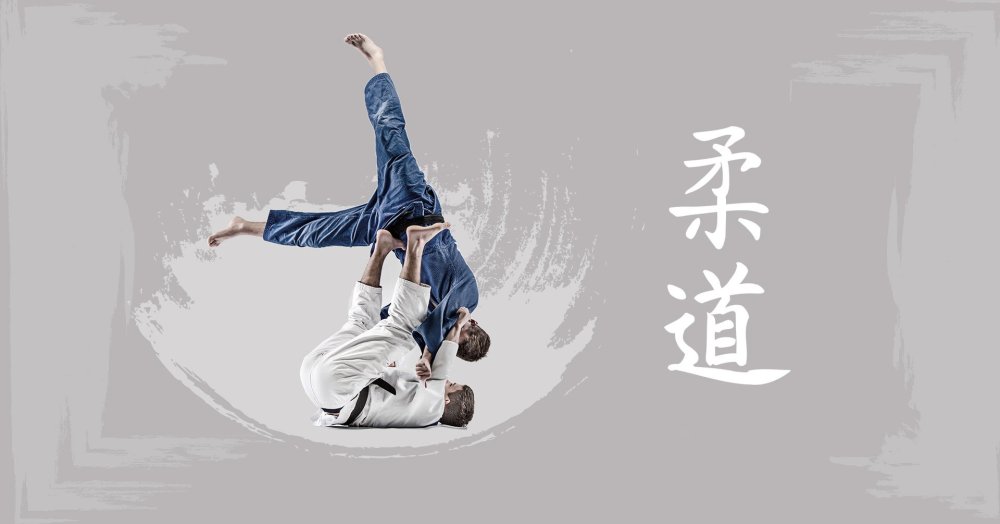 Дзюдо вектор