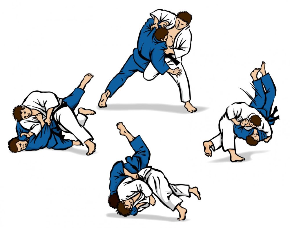 Фотообои дзюдо