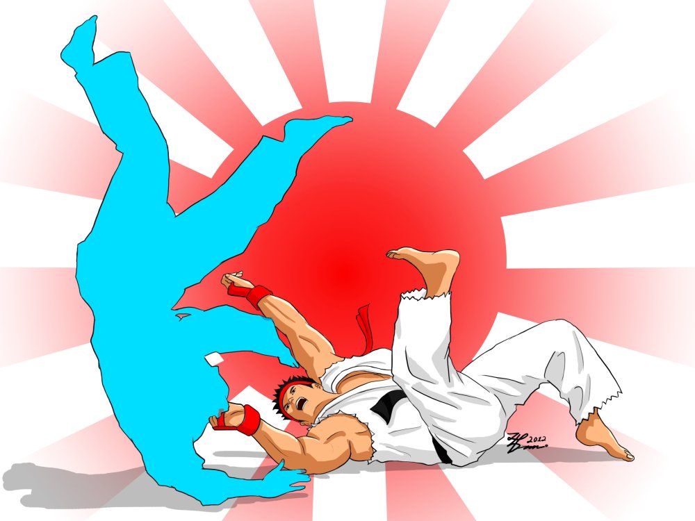 Дзюдо броски вектор