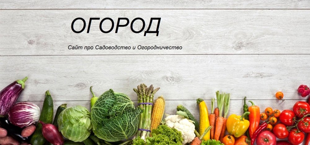 Чистые овощи и фрукты