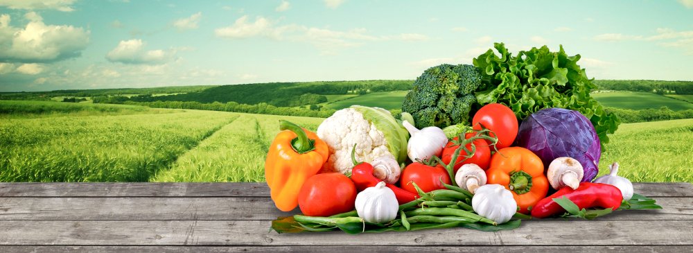 Векторные фрукты овощи