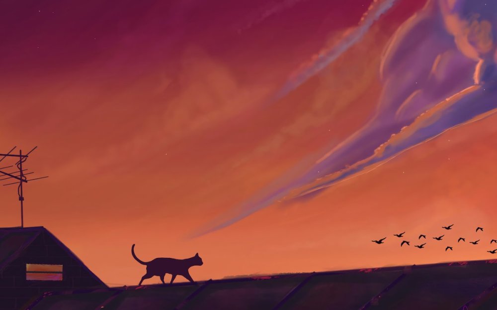 Крыша многоэтажки ночью