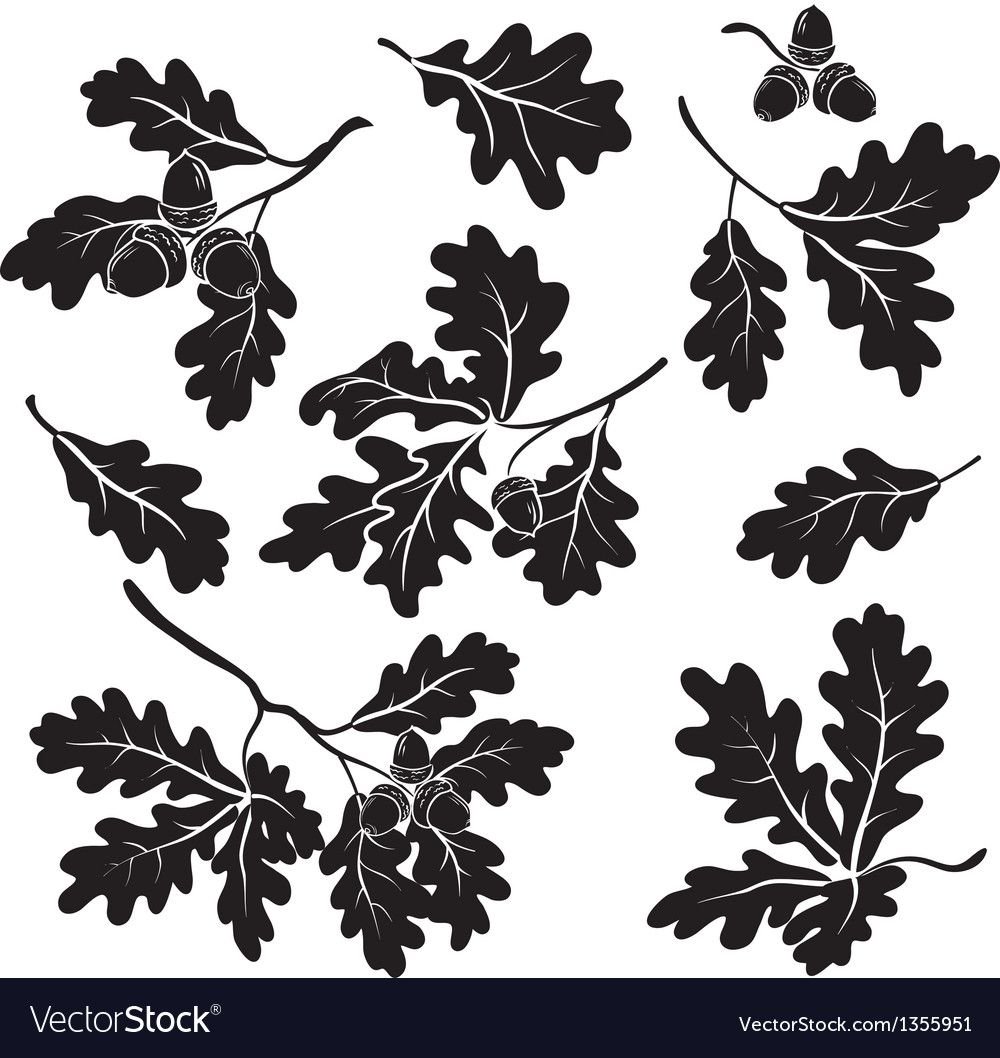 Орнамент листья