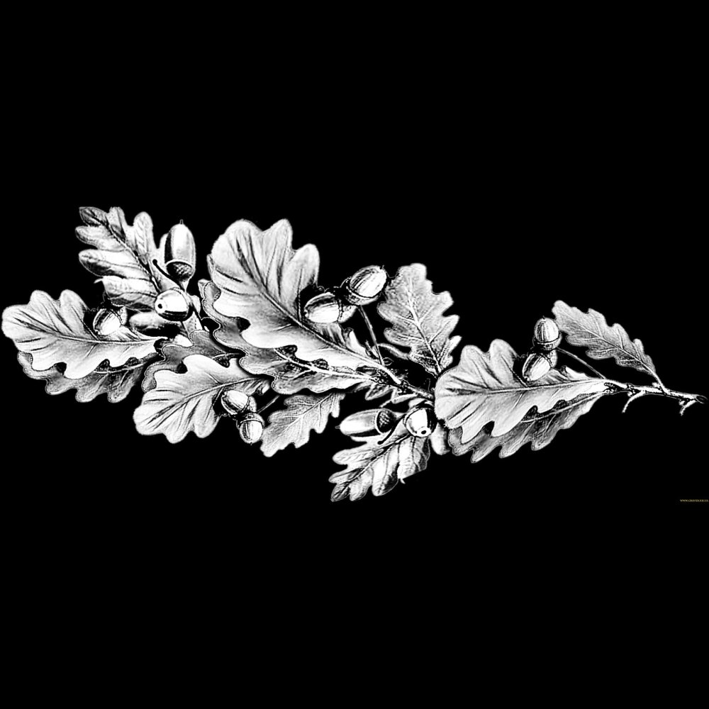 Ветка для гравировки на памятниках