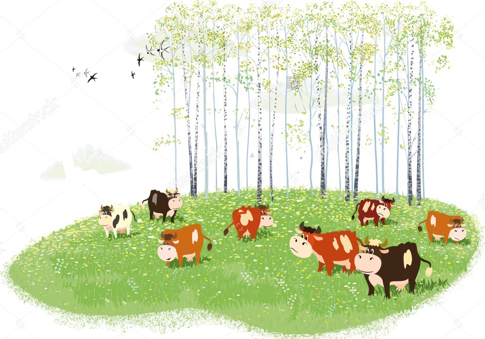 Стадо коров на лугу для детей