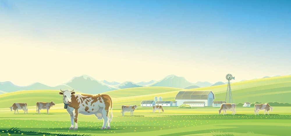 Коровы на лугу вектор