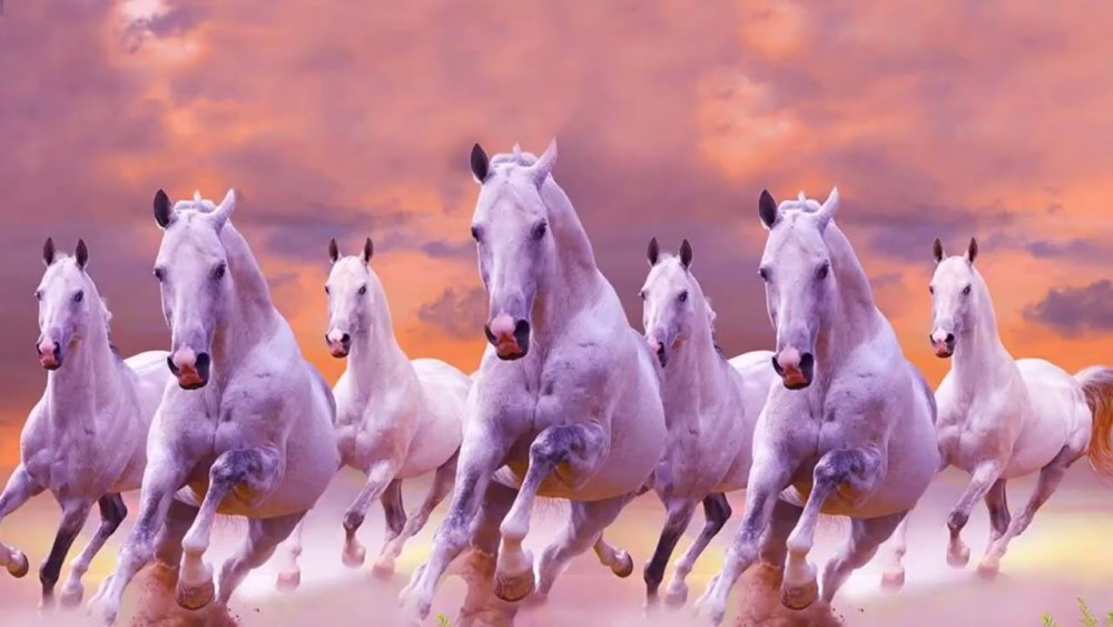 Галоп лошадь табун