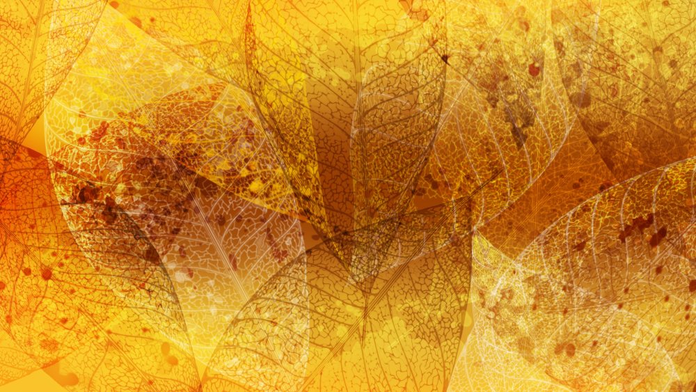 Осенние текстуры для фотошопа