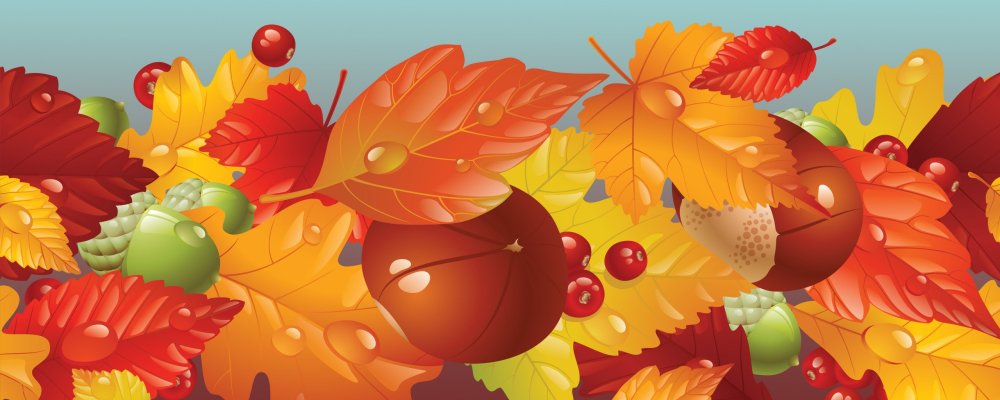 Осенние листья вектор