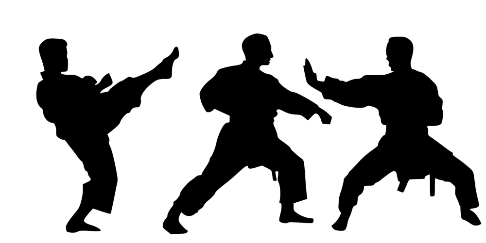 Каратэ силуэт