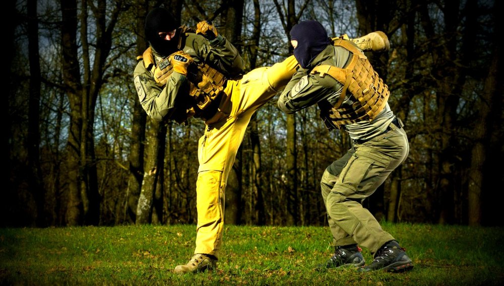 Рукопашный бой