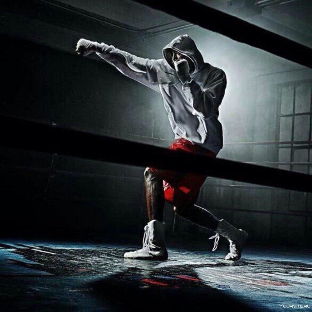 Кикбоксинг картинки на рабочий стол