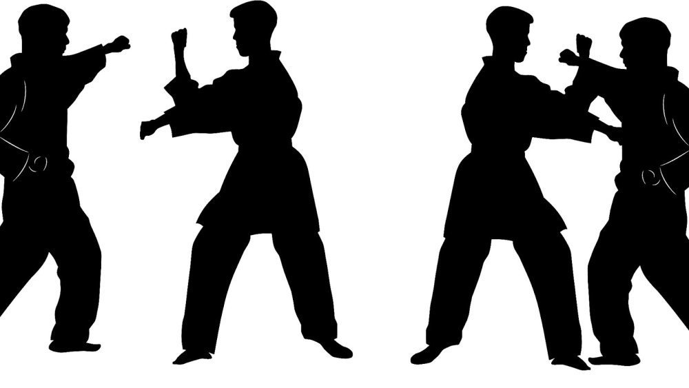 Рукопашный бой