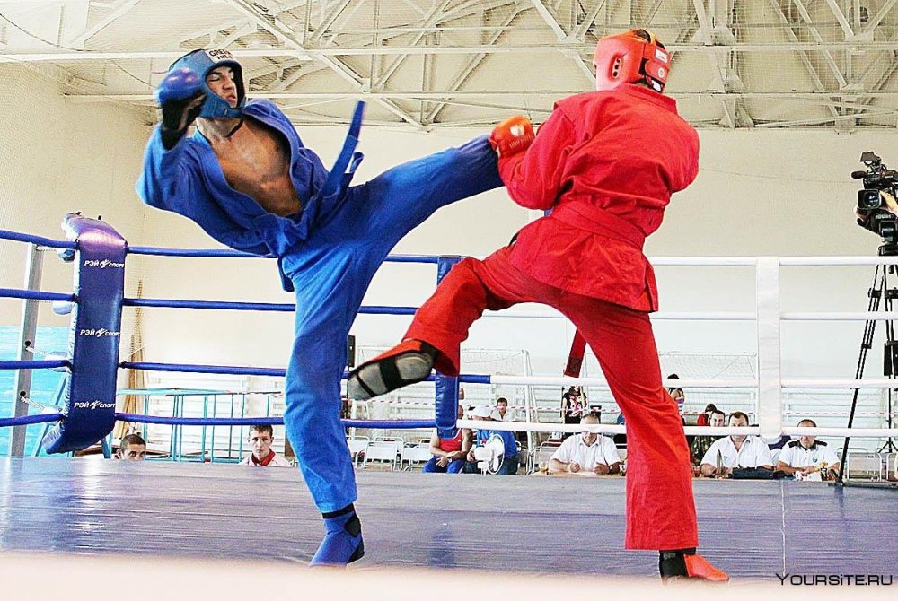 Новиков Сергей Петрович универсальный бой