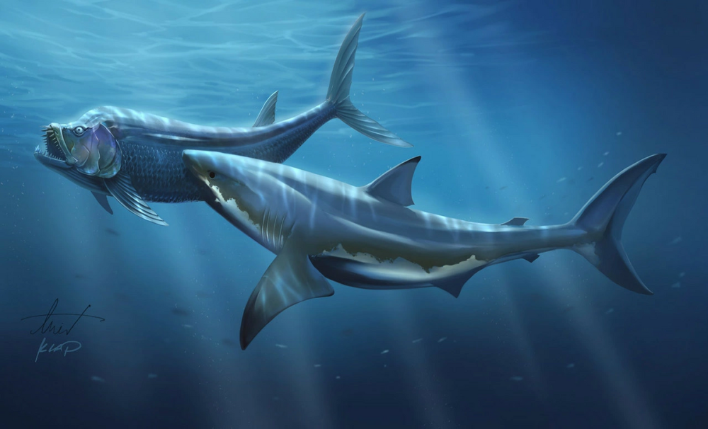 Кретоксирина и МЕГАЛОДОН