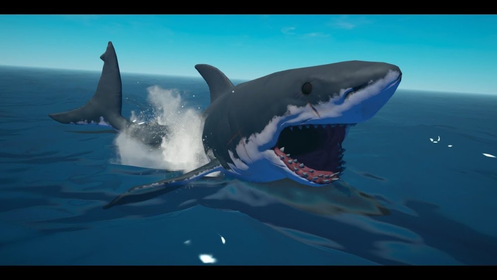 Акула абстракция