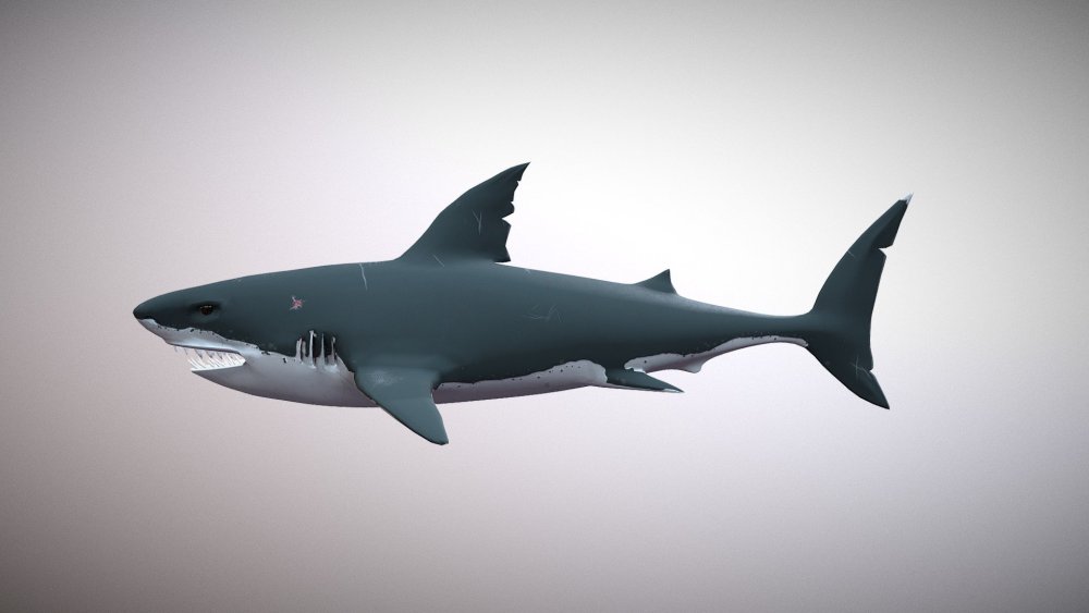 Акула Кретоксирина