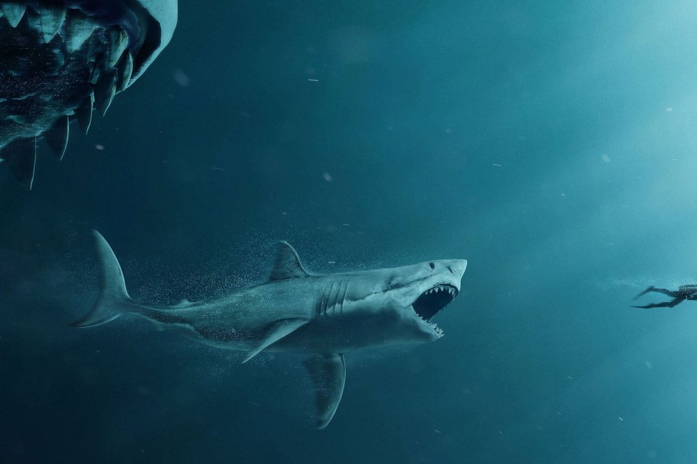 Древние акулы МЕГАЛОДОН