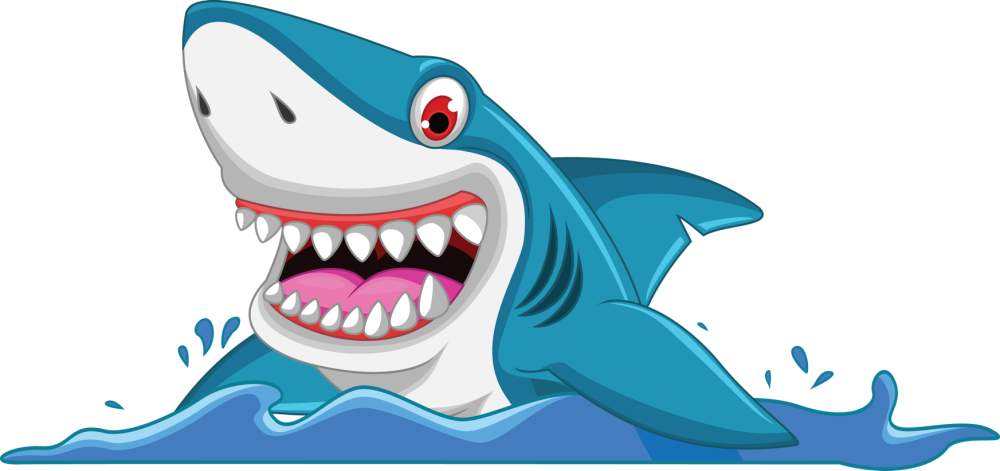 Кархародон МЕГАЛОДОН