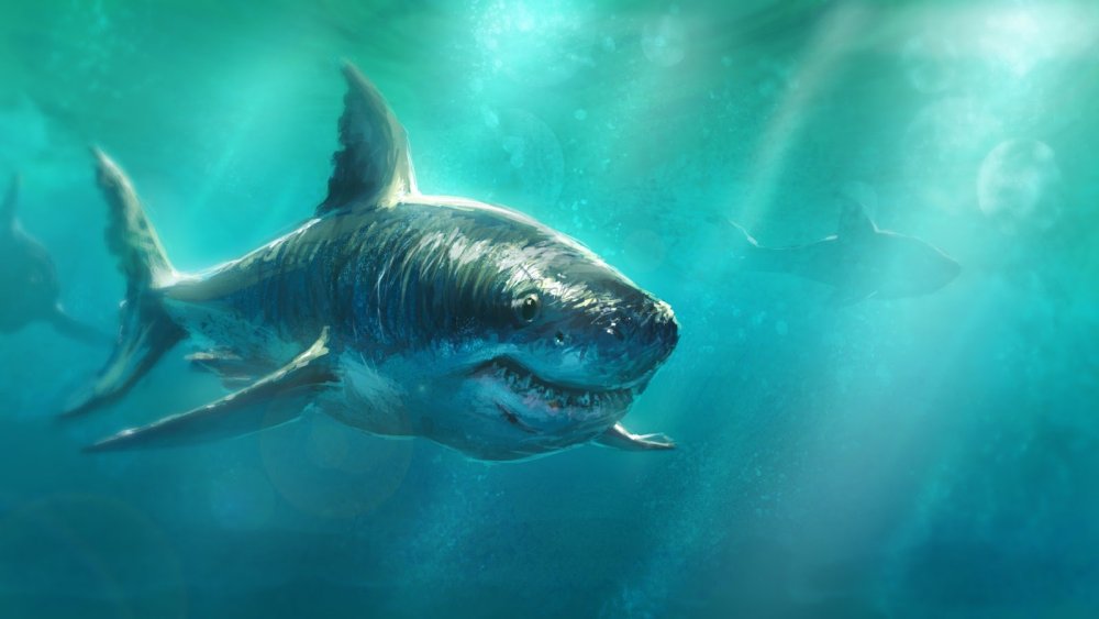 Смешная акула для детей