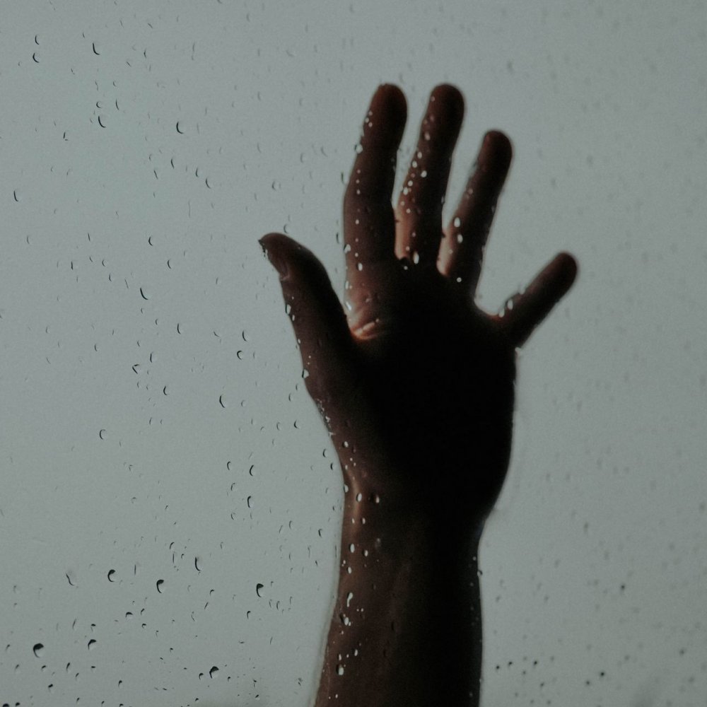 Ладонь на стекле