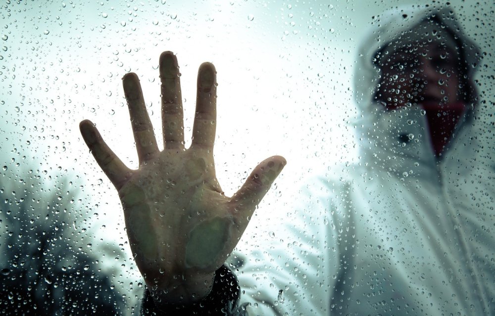Ладонь на стекле