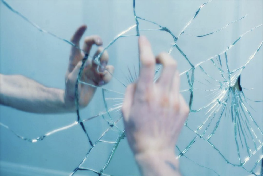 Тень от веток на белом фоне