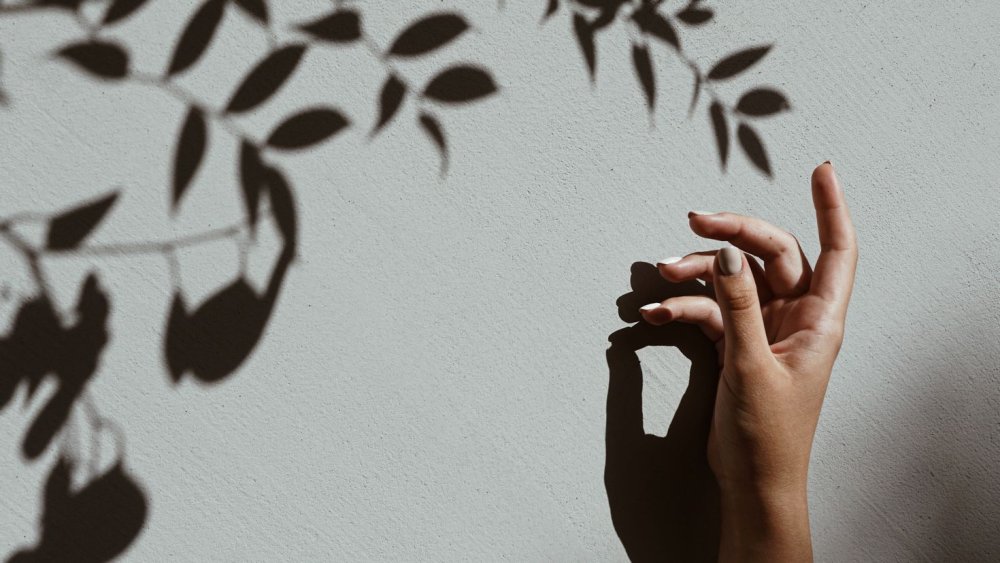 Тень на стене