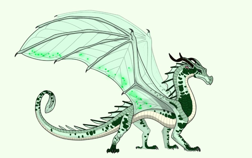 Драконья сага