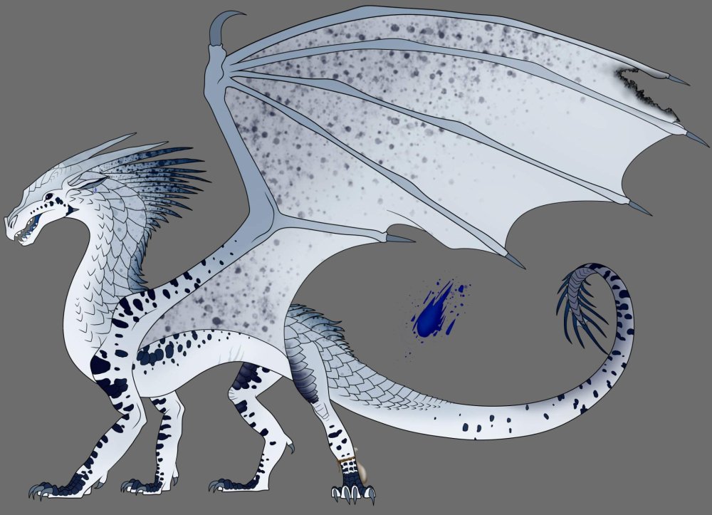 Дракон шелкопряд Драконья сага