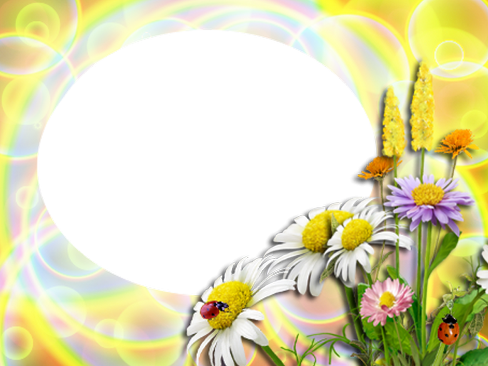Красивая летняя рамка