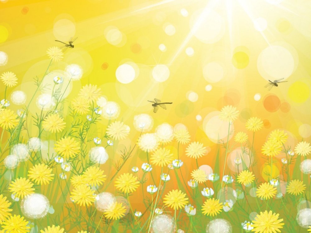 Фон из одуванчиков