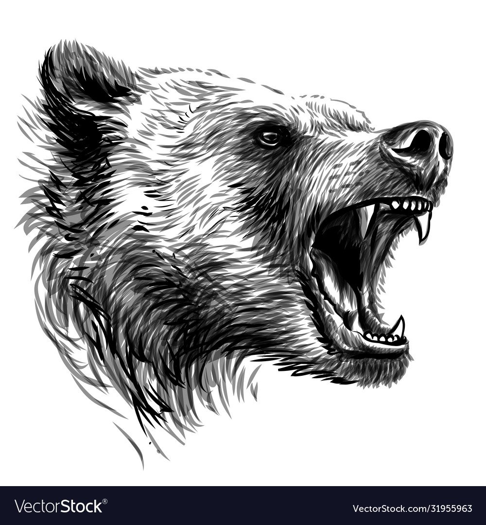 Медведь рычит