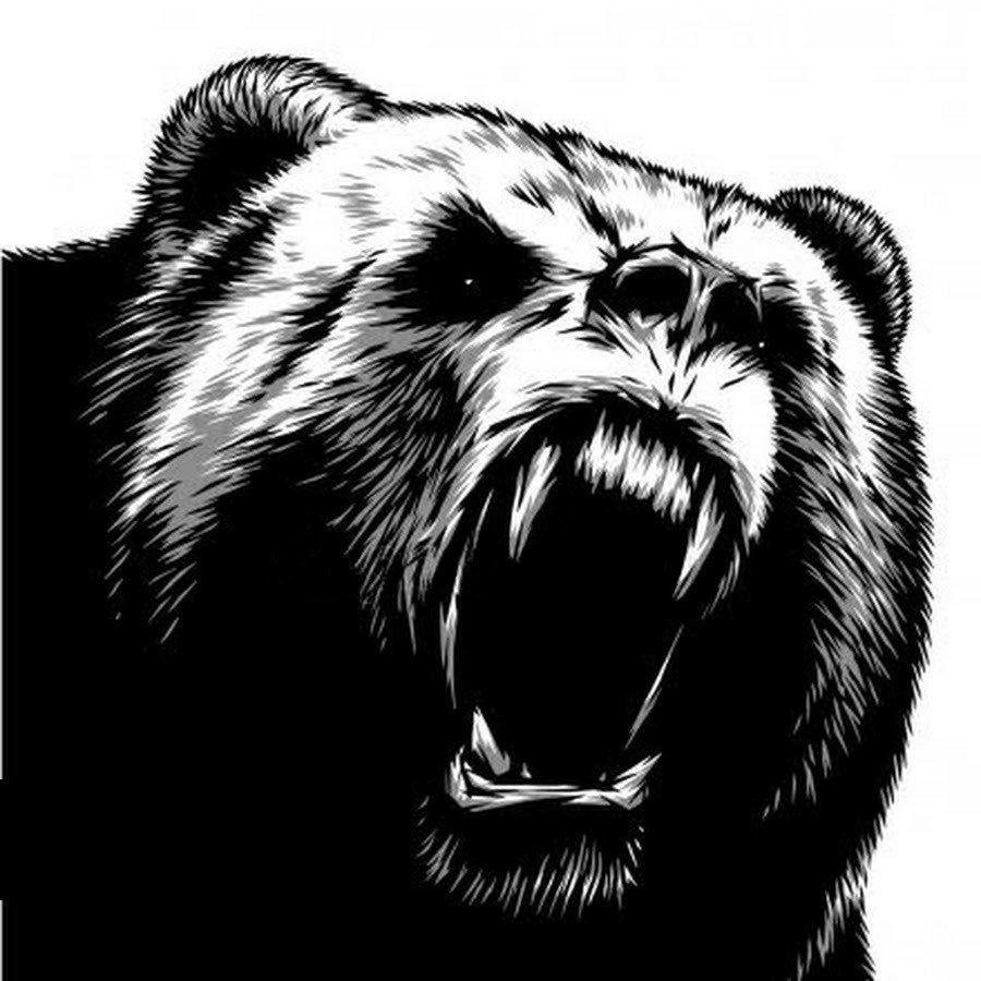 Оскал медведя карандашом