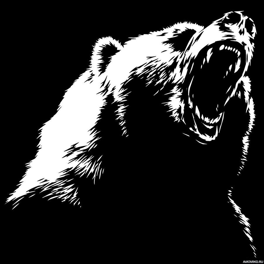 Гравировка медведь