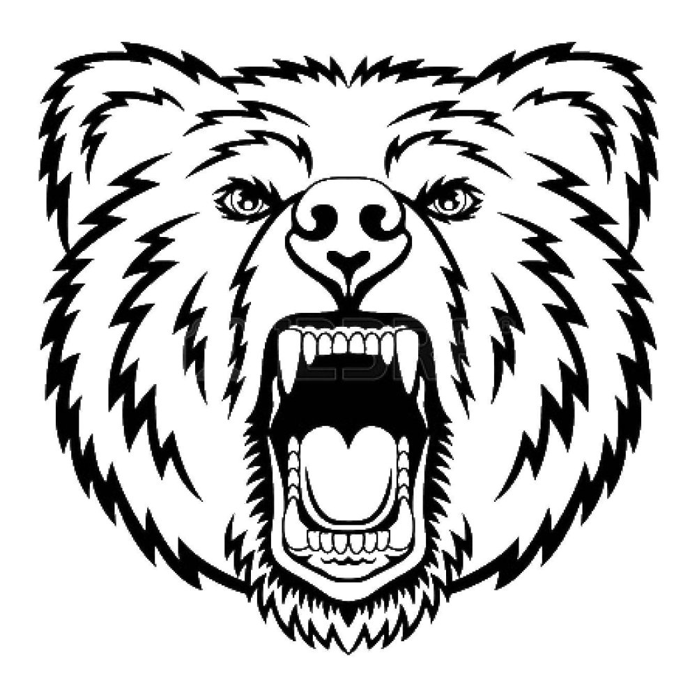 Голова медведя эскиз