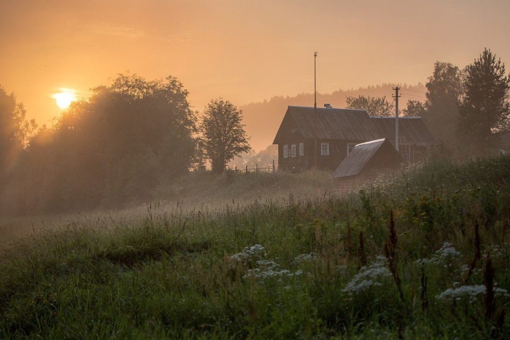 Деревня в глуши