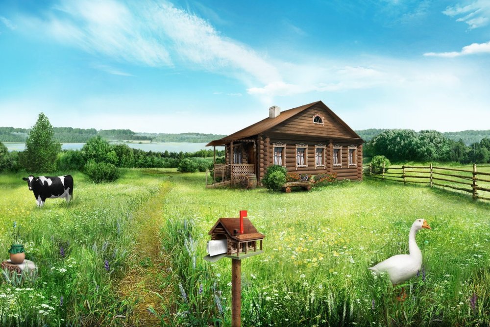 Деревенский луг