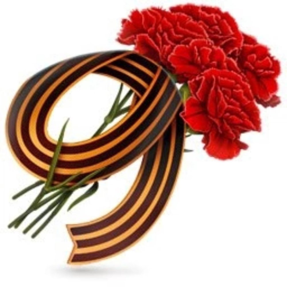 Гвоздики 9 мая