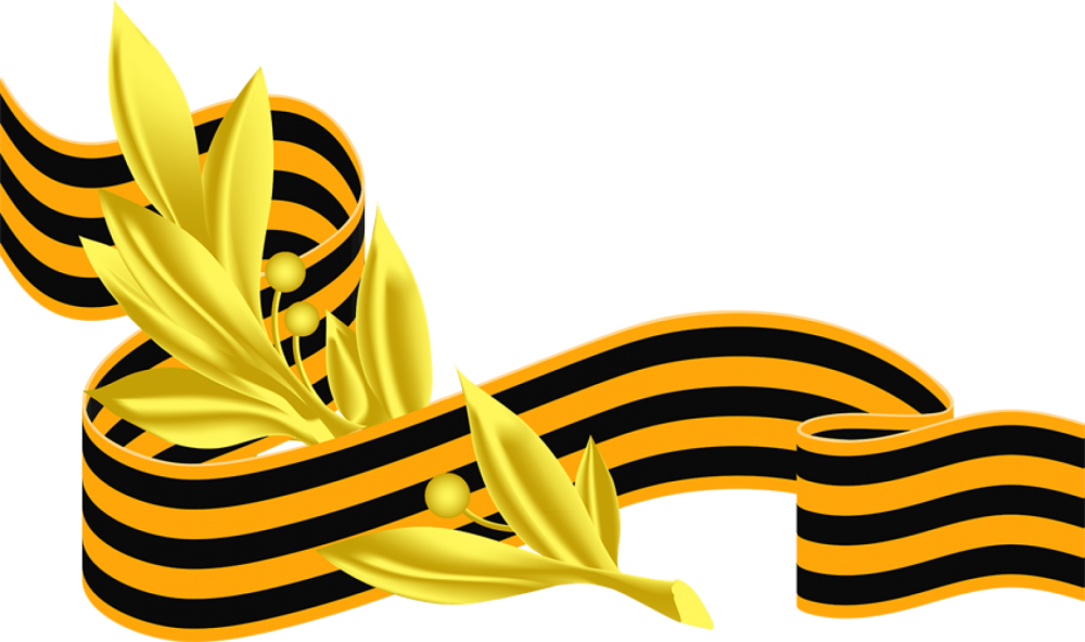 Георгиевская лента РНГ