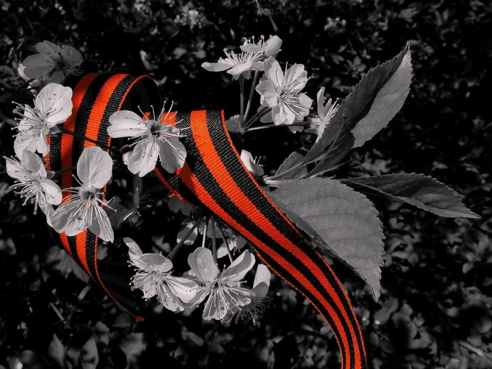 Георгиевская лента