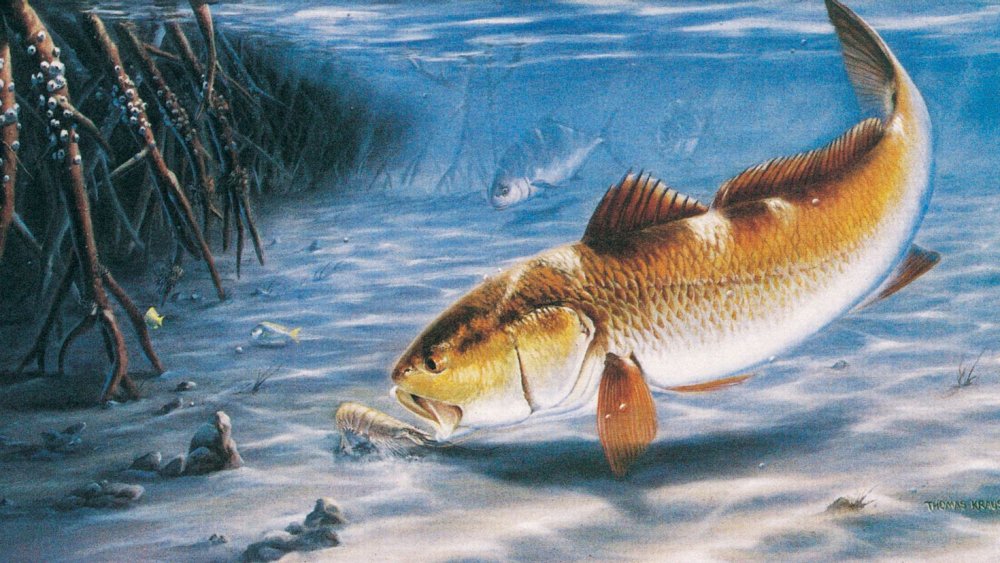 Обои на телефон рыбалка