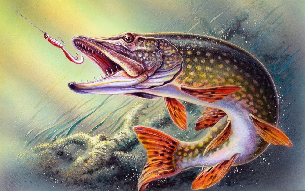 Обои рыбалка