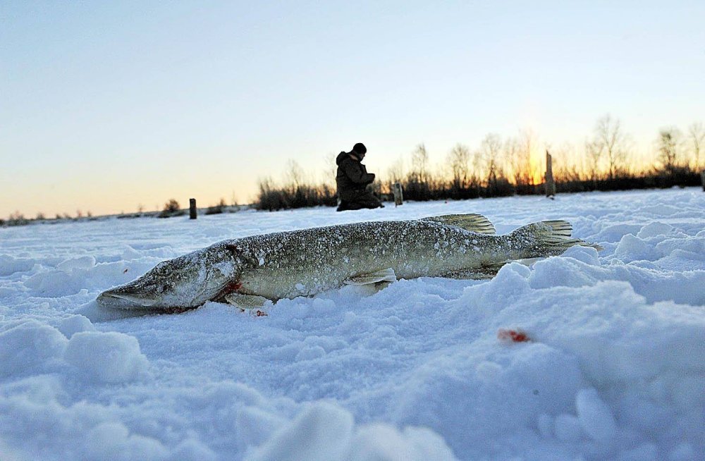 Зимняя рыбалка