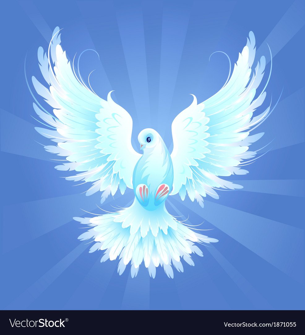 Голуби с разноцветными крыльями